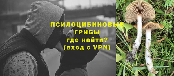 МДПВ Навашино