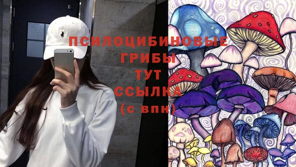 хмурый Абинск
